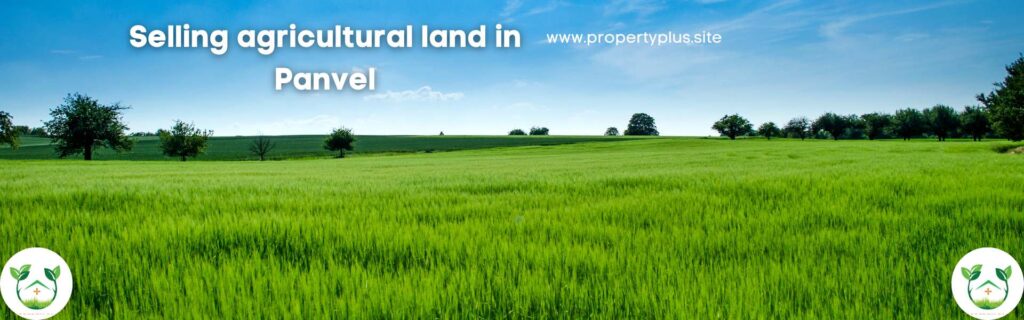 Selling agricultural land in Panvel